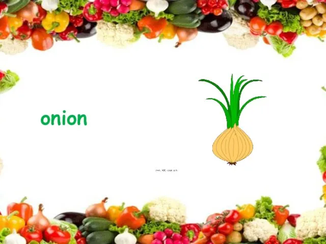 onion