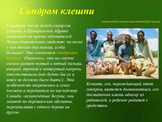 Странное племя людей-страусов (сапади) в Центральной Африке отличает от прочих обитателей