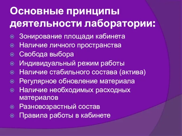 Основные принципы деятельности лаборатории: Зонирование площади кабинета Наличие личного пространства Свобода