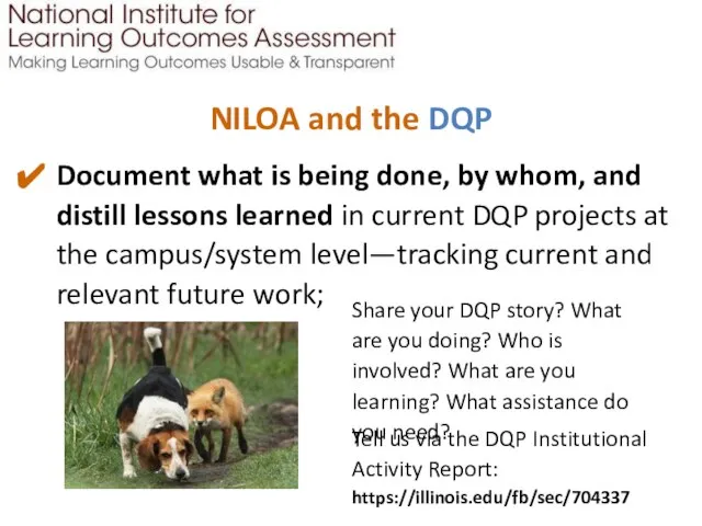 NILOA and the DQP Document what is being done, by whom,