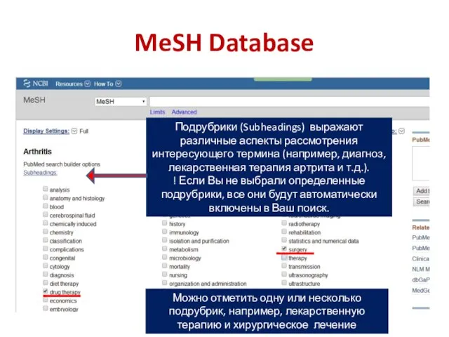 MeSH Database Подрубрики (Subheadings) выражают различные аспекты рассмотрения интересующего термина (например,