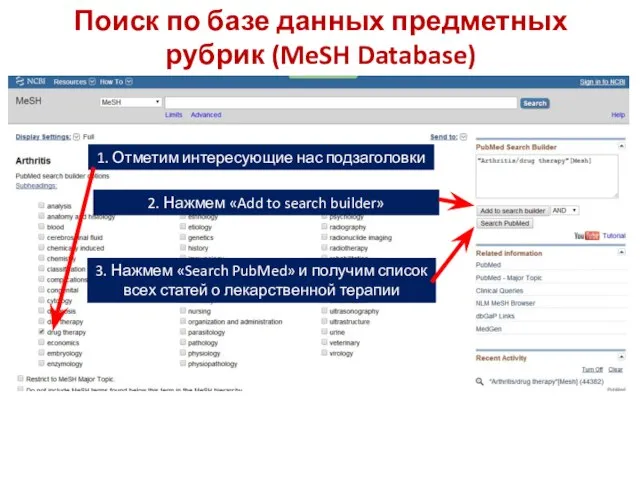 Поиск по базе данных предметных рубрик (MeSH Database) 1. Отметим интересующие