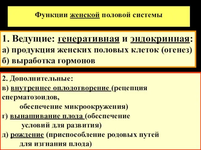 Функции женской половой системы 2. Дополнительные: в) внутреннее оплодотворение (рецепция сперматозоидов,