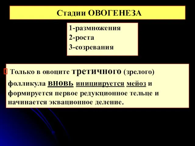 Стадии ОВОГЕНЕЗА 1-размножения 2-роста 3-созревания Только в овоците третичного (зрелого) фолликула