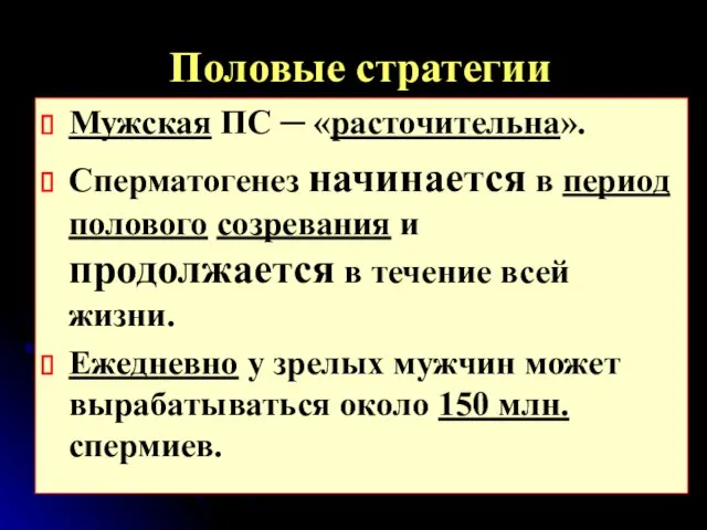 Половые стратегии Мужская ПС ─ «расточительна». Сперматогенез начинается в период полового