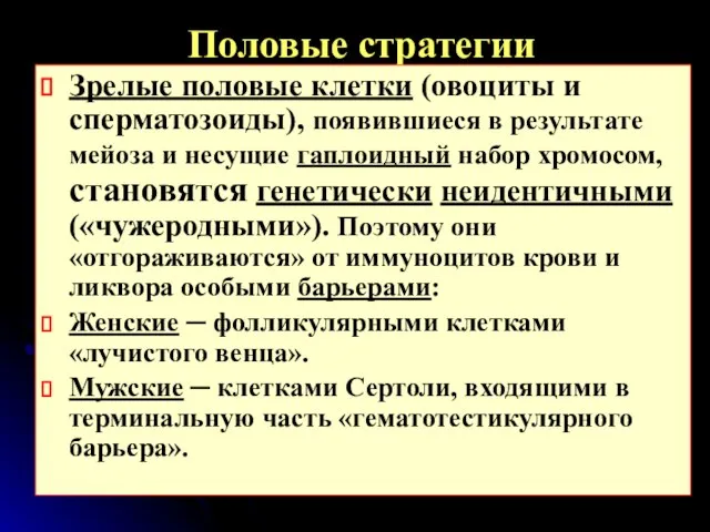 Половые стратегии Зрелые половые клетки (овоциты и сперматозоиды), появившиеся в результате