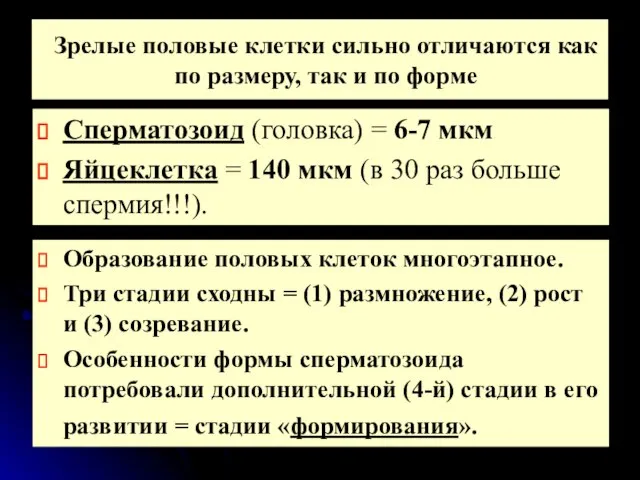 Зрелые половые клетки сильно отличаются как по размеру, так и по