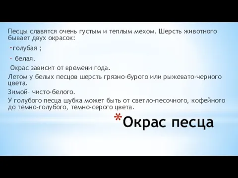 Окрас песца Песцы славятся очень густым и теплым мехом. Шерсть животного