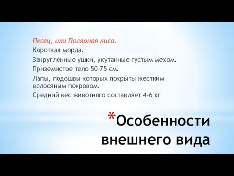 Особенности внешнего вида Песец, или Полярная лиса. Короткая морда. Закруглённые ушки,