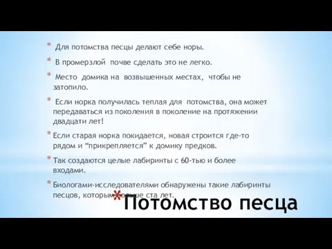 Потомство песца Для потомства песцы делают себе норы. В промерзлой почве