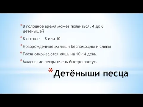 Детёныши песца В голодное время может появиться. 4 до 6 детенышей