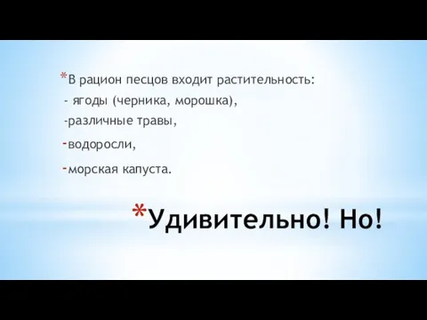 Удивительно! Но! В рацион песцов входит растительность: - ягоды (черника, морошка), -различные травы, водоросли, морская капуста.