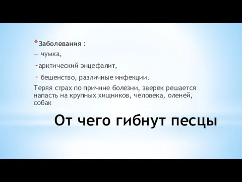 От чего гибнут песцы Заболевания : — чумка, арктический энцефалит, бешенство,