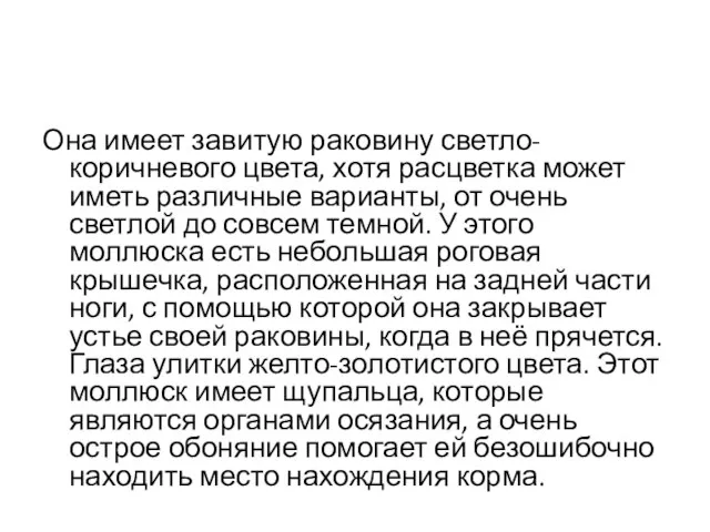 Она имеет завитую раковину светло-коричневого цвета, хотя расцветка может иметь различные