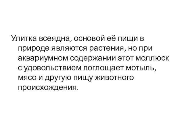 Улитка всеядна, основой её пищи в природе являются растения, но при