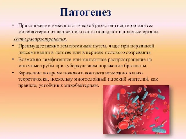 Патогенез При снижении иммунологической резистентности организма микобактерии из первичного очага попадают