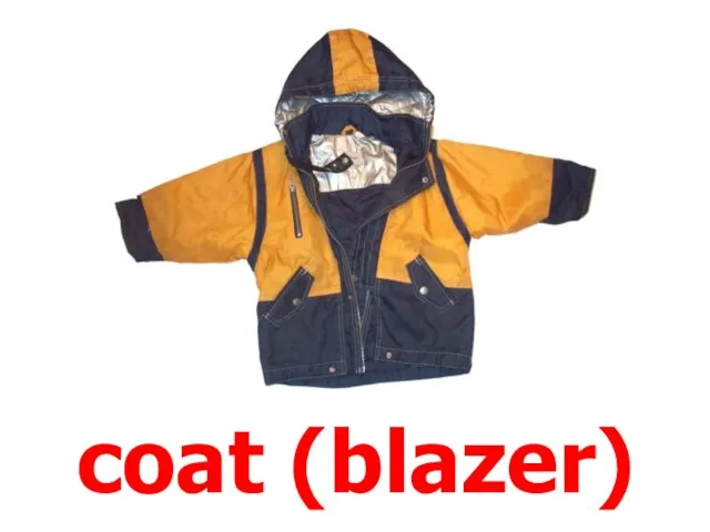 coat (blazer)