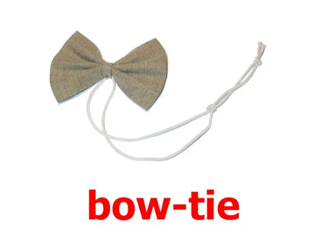 bow-tie