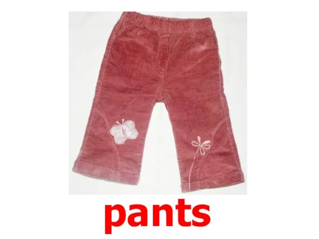 pants