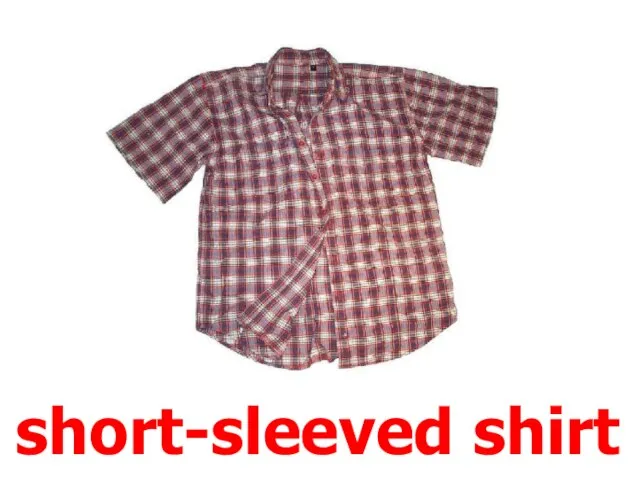 short-sleeved shirt