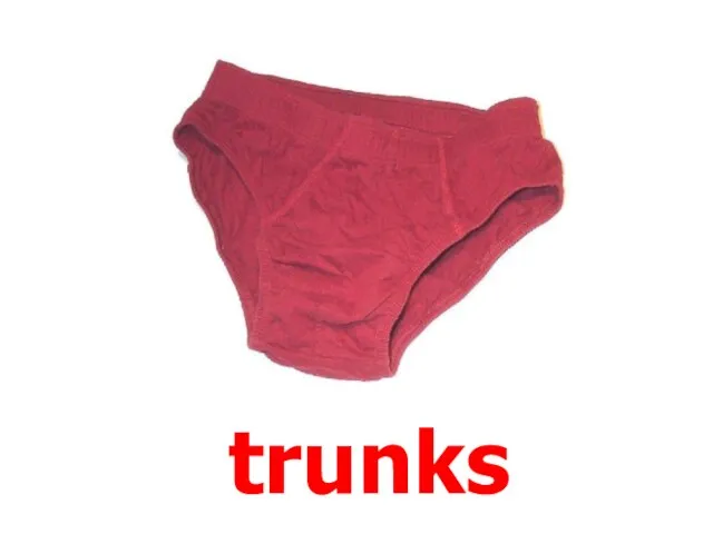 trunks