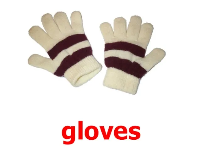 gloves