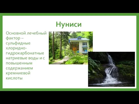 Нуниси Основной лечебный фактор – сульфидные хлоридно-гидрокарбонатные натриевые воды и с повышенным содержанием кремниевой кислоты