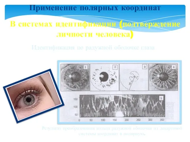 Применение полярных координат В системах идентификации (подтверждение личности человека) Идентификация по