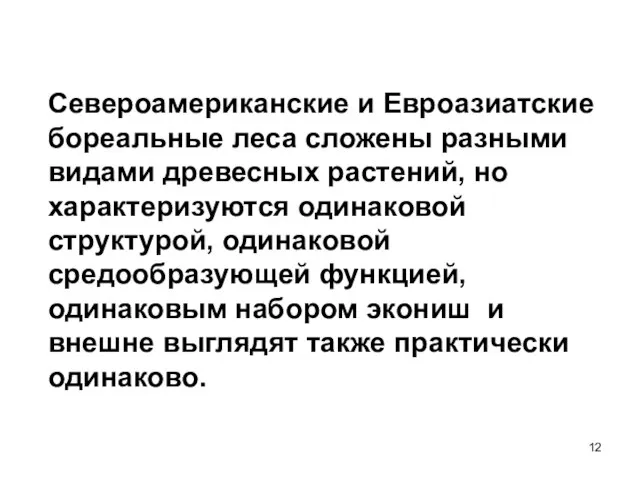 Североамериканские и Евроазиатские бореальные леса сложены разными видами древесных растений, но