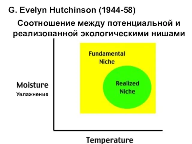 G. Evelyn Hutchinson (1944-58) Увлажнение Соотношение между потенциальной и реализованной экологическими нишами