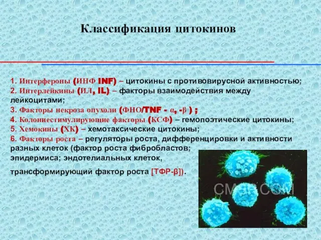 Классификация цитокинов 1. Интерфероны (ИНФ INF) – цитокины с противовирусной активностью;