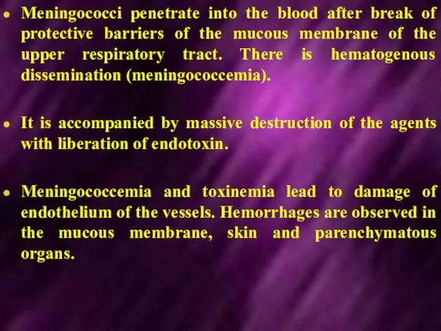 Meningococci penetrate into the blood after break of protective barriers of