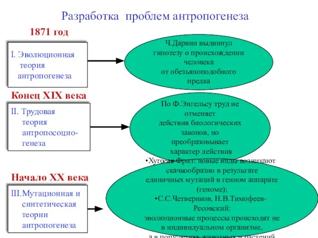 Ч.Дарвин выдвинул гипотезу о происхождении человека от обезьяноподобного предка I. Эволюционная