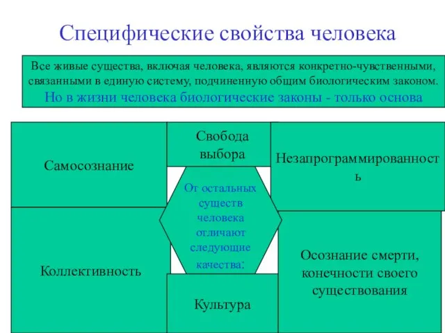 Специфические свойства человека Все живые существа, включая человека, являются конкретно-чувственными, связанными