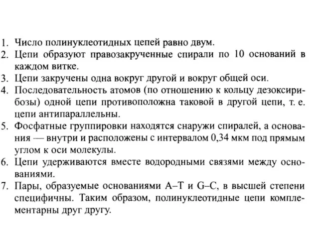 Модель строения ДНК, предложенная Уотсоном и Криком. В структуре ДНК заложена возможность ковариантной редупликации.