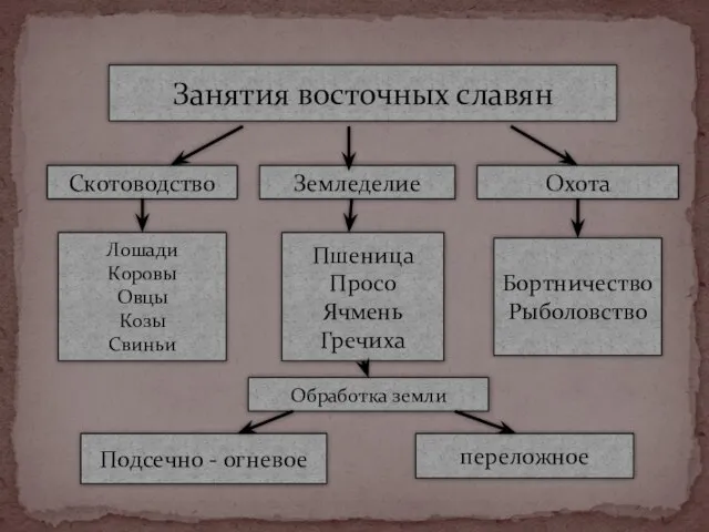 Подсечно - огневое переложное Обработка земли Лошади Коровы Овцы Козы Свиньи