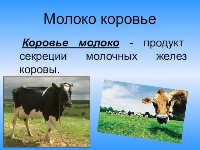 Молоко коровье Коровье молоко - продукт секреции молочных желез коровы.