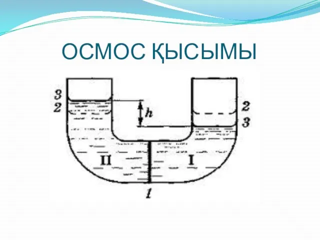 ОСМОС ҚЫСЫМЫ