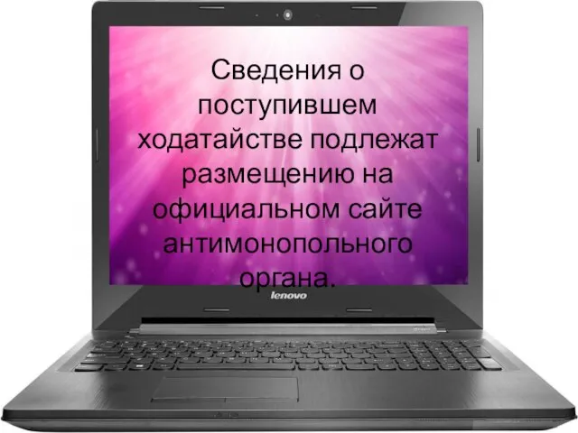 Сведения о поступившем ходатайстве подлежат размещению на официальном сайте антимонопольного органа.