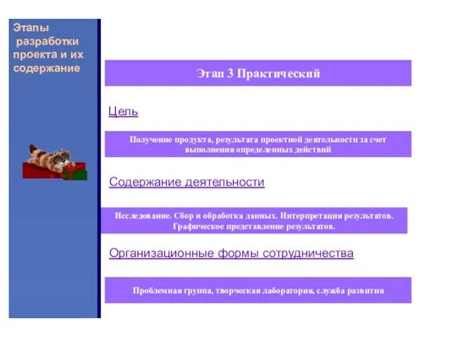 Этапы разработки проекта и их содержание Этап 3 Практический Цель Получение