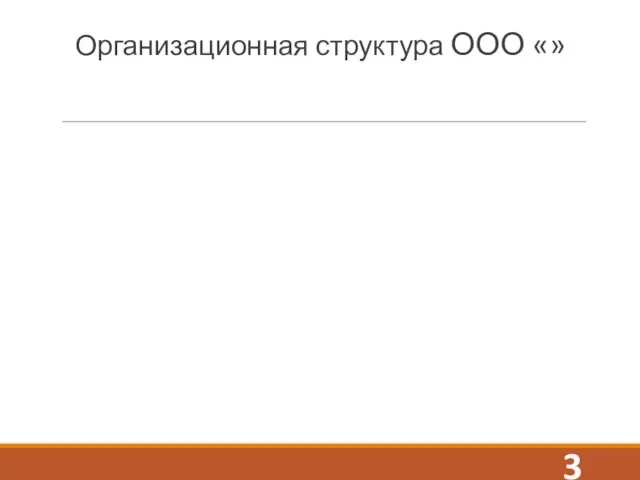 Организационная структура ООО «»