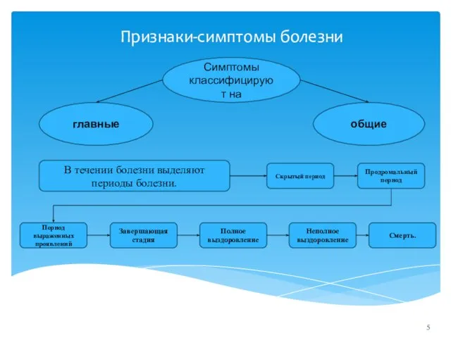 Признаки-симптомы болезни Симптомы классифицируют на главные общие Скрытый период Продромальный период