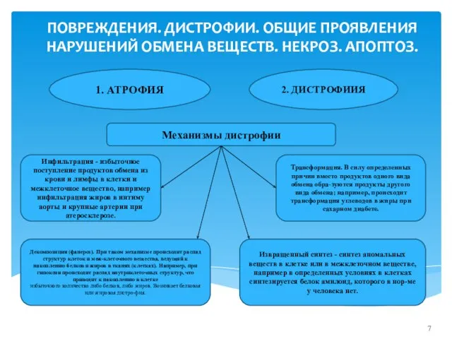 ПОВРЕЖДЕНИЯ. ДИСТРОФИИ. ОБЩИЕ ПРОЯВЛЕНИЯ НАРУШЕНИЙ ОБМЕНА ВЕЩЕСТВ. НЕКРОЗ. АПОПТОЗ. 1. АТРОФИЯ