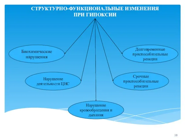 СТРУКТУРНО-ФУНКЦИОНАЛЬНЫЕ ИЗМЕНЕНИЯ ПРИ ГИПОКСИИ Биохимические нарушения Нарушение деятельности ЦНС Нарушение кровообращения