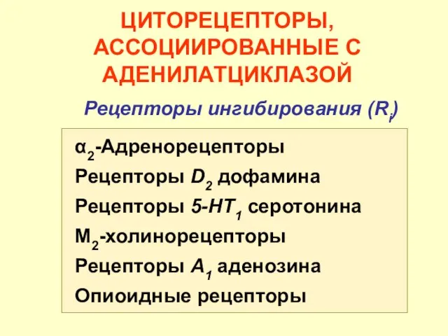 ЦИТОРЕЦЕПТОРЫ, АССОЦИИРОВАННЫЕ С АДЕНИЛАТЦИКЛАЗОЙ Рецепторы ингибирования (Ri) α2-Адренорецепторы Рецепторы D2 дофамина