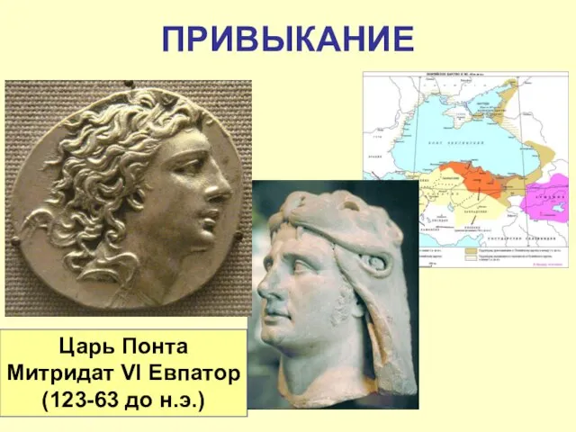 ПРИВЫКАНИЕ Царь Понта Митридат VI Евпатор (123-63 до н.э.)