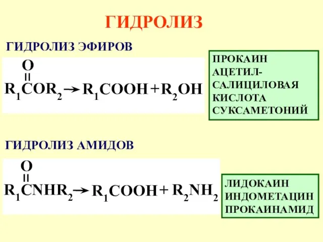 ГИДРОЛИЗ ЛИДОКАИН ИНДОМЕТАЦИН ПРОКАИНАМИД