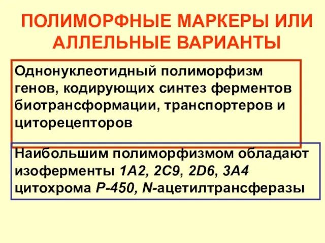 Однонуклеотидный полиморфизм генов, кодирующих синтез ферментов биотрансформации, транспортеров и циторецепторов Наибольшим