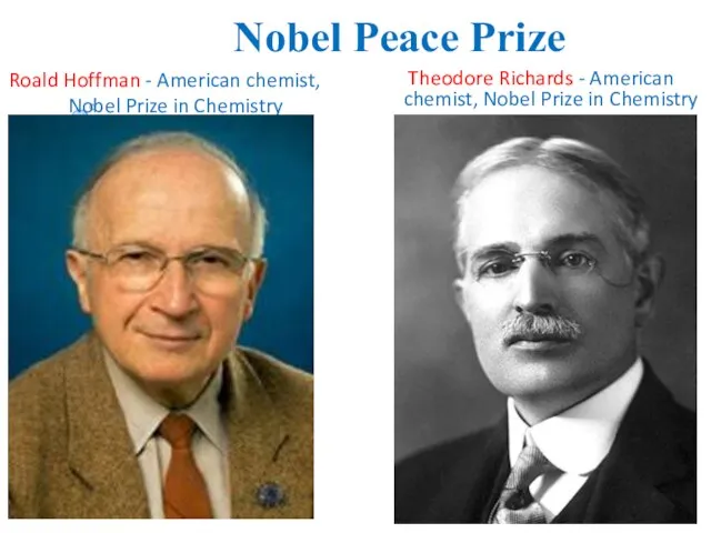 Nobel Peace Prize Roald Hoffman - American chemist, Nobel Prize in