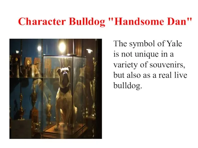 Character Bulldog "Handsome Dan" The symbol of Yale is not unique